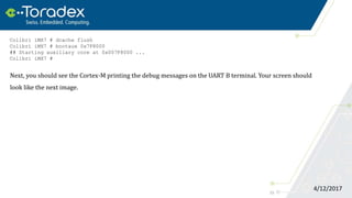 23
4/12/2017
Colibri iMX7 # dcache flush
Colibri iMX7 # bootaux 0x7F8000
## Starting auxiliary core at 0x007F8000 ...
Colibri iMX7 #
Next, you should see the Cortex-M printing the debug messages on the UART B terminal. Your screen should
look like the next image.
 