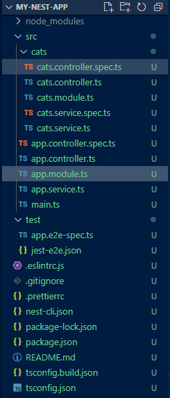 nestjs project structure