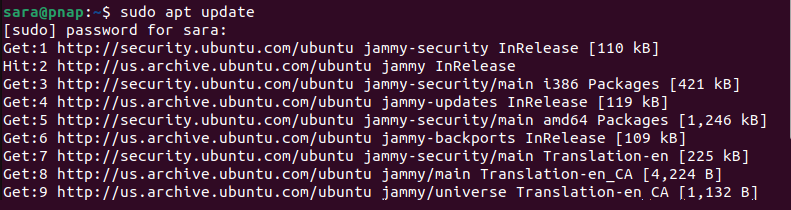 sudo apt update terminal output