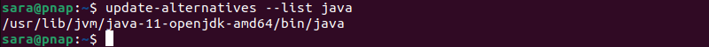 terminal output update-alternatives --list java