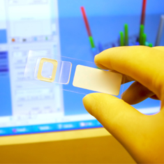 slide held by gloved hand